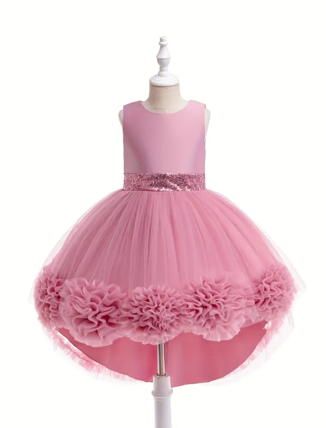 Dusty Pink Special Occasions Ball Cown #1000792