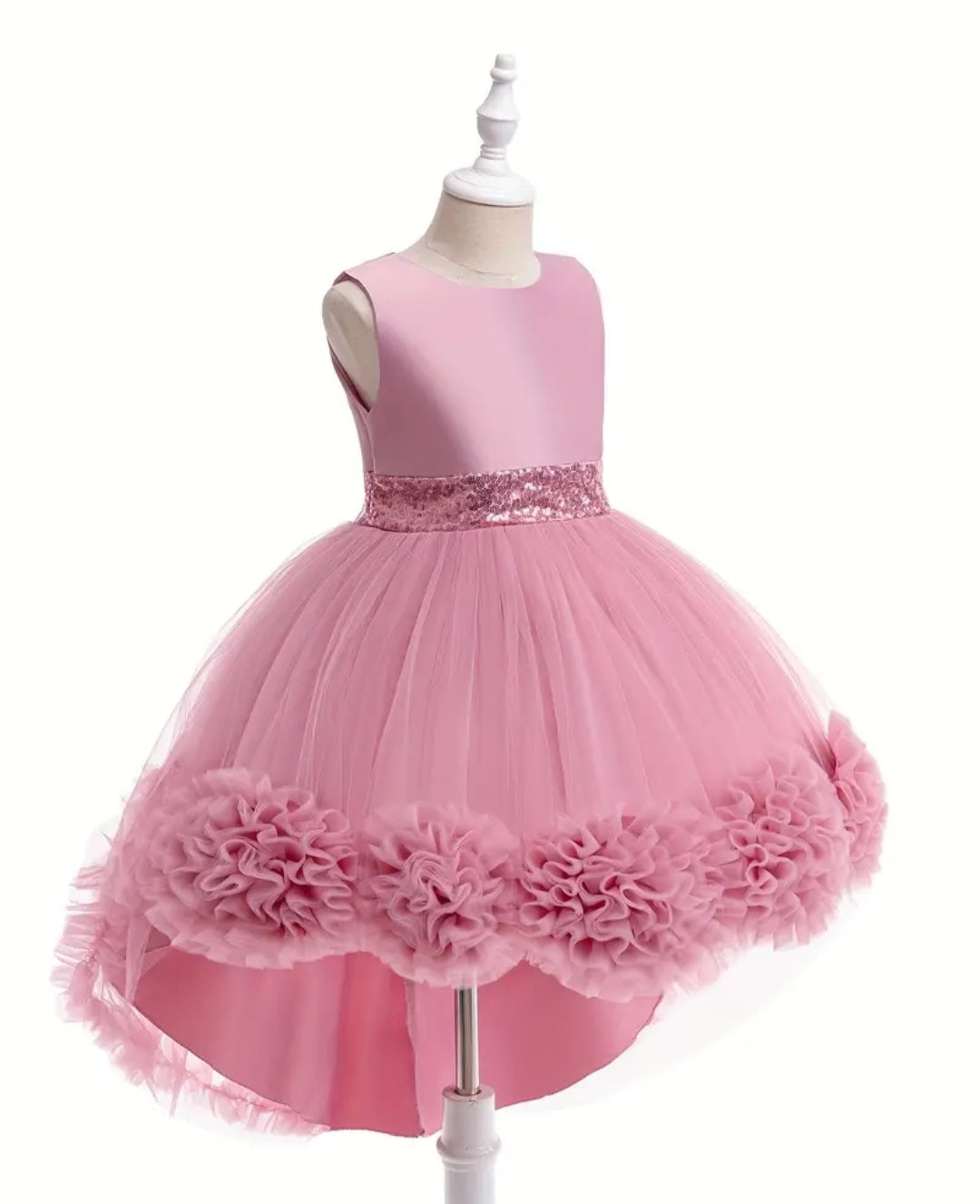 Dusty Pink Special Occasions Ball Cown #1000792