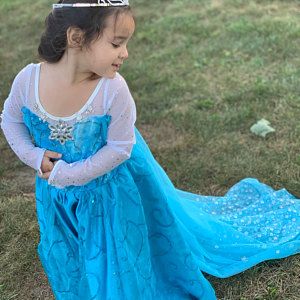 Teal Ice Princess Costume  #10020036