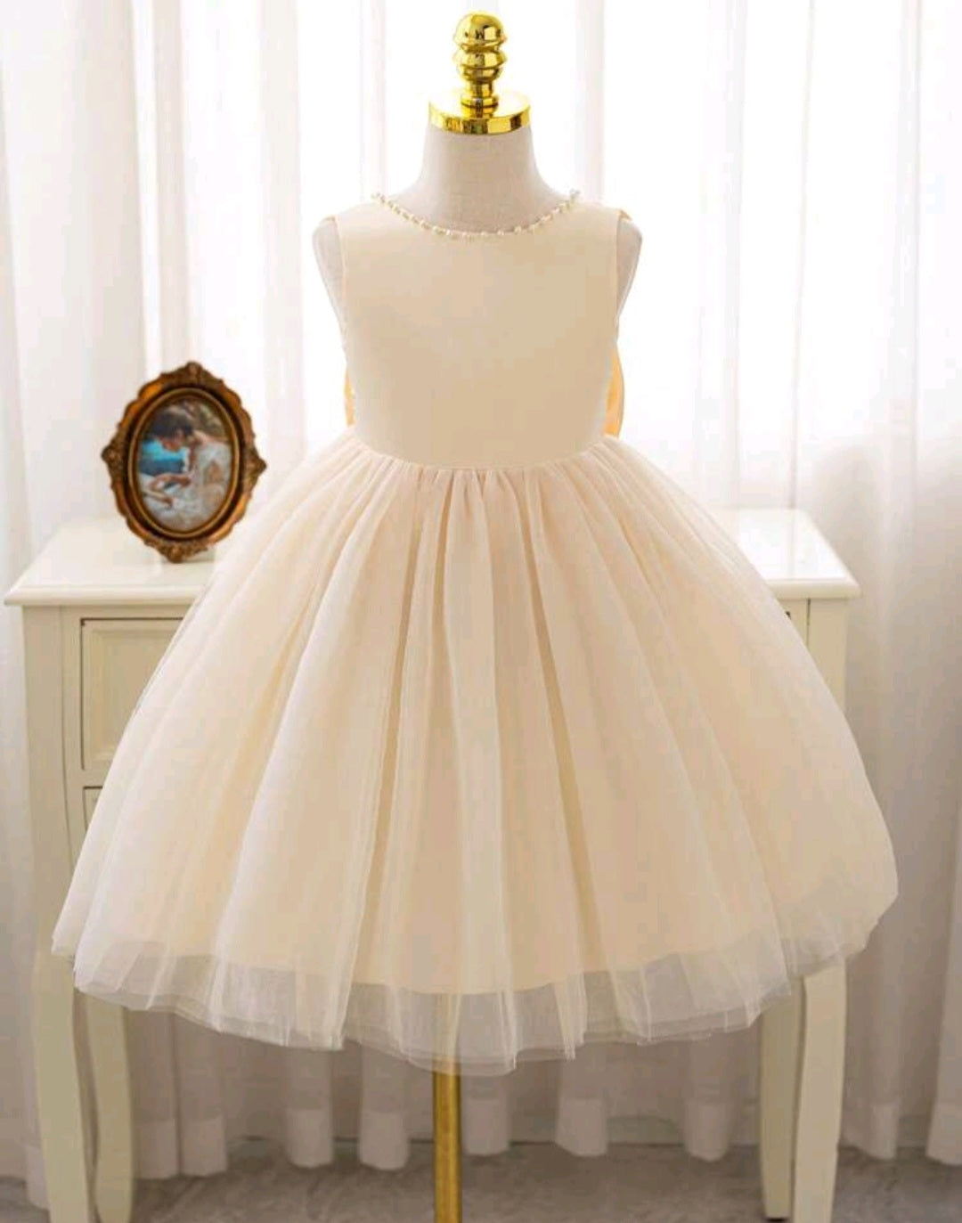 Pink Special Occasions Dress Ball Gown #100081