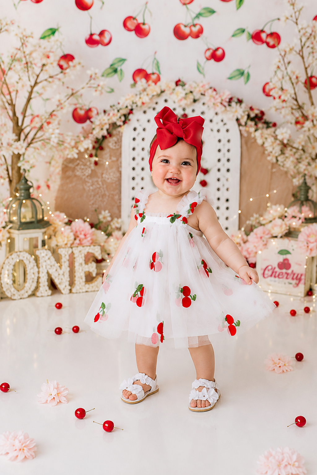 Embroidered Cherry Tulle Dress #1000123
