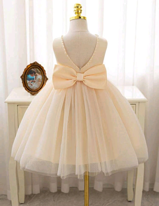 Pink Special Occasions Dress Ball Gown #100081