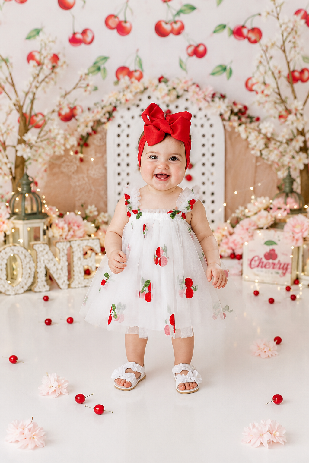 Embroidered Cherry Tulle Dress #1000123