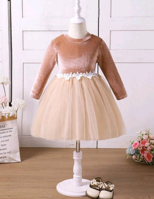 Apricot Velvet Long Sleeve Floral Dress #1001143