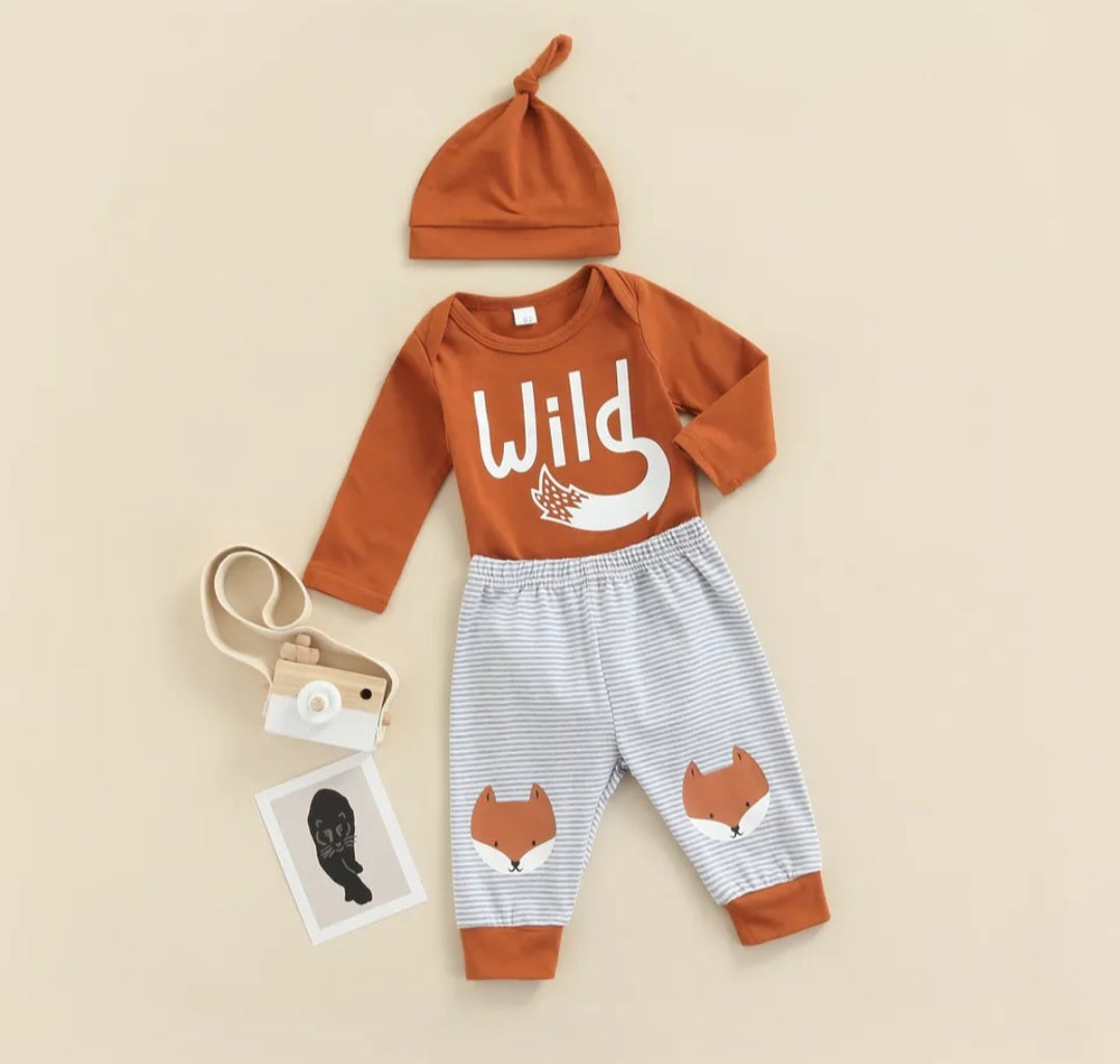 Wild Romper With FoxPants and Pumpkin Hat #2000342